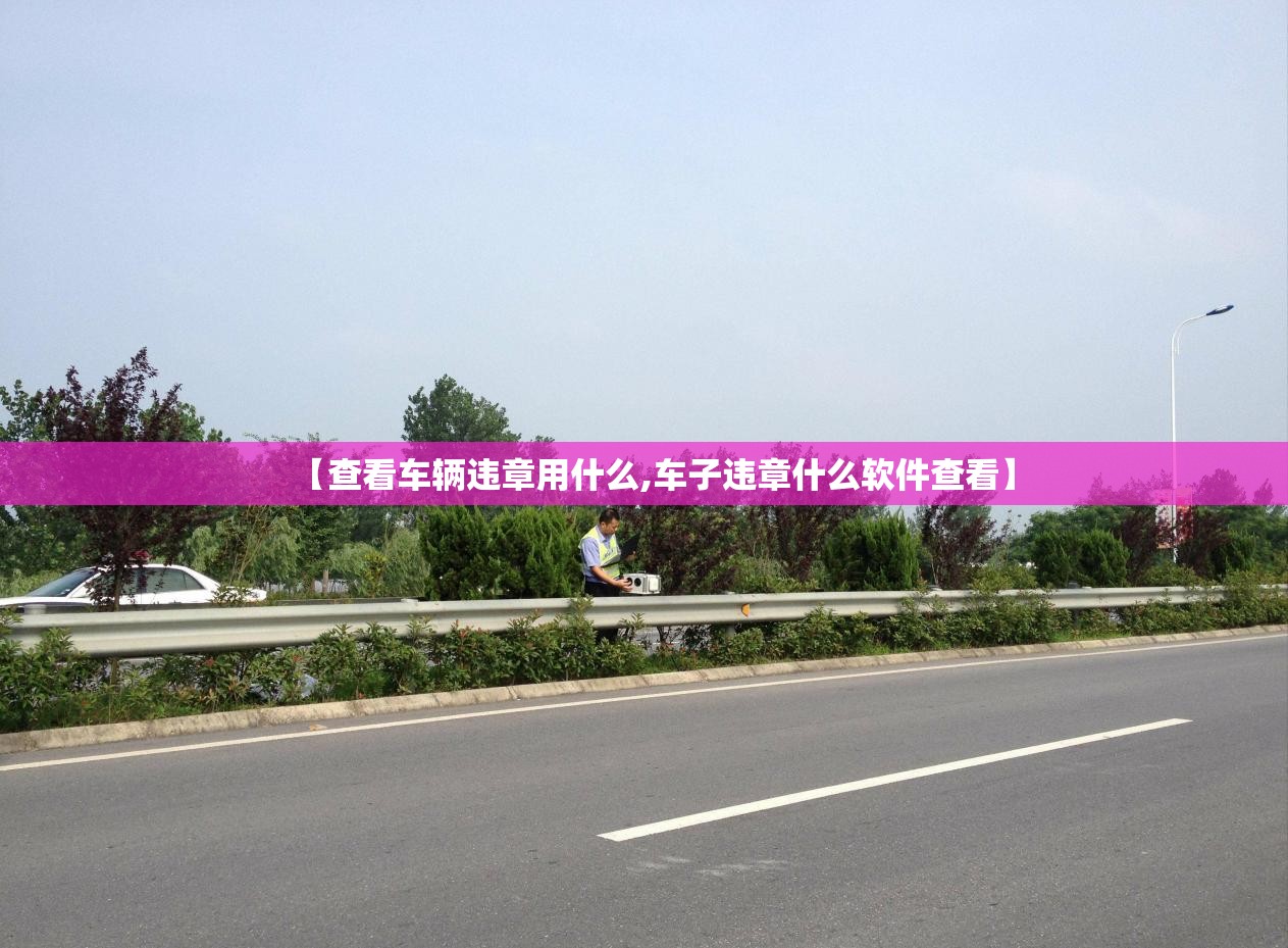 【查看车辆违章用什么,车子违章什么软件查看】 【查看车辆违章用什么,车子违章什么软件查看】