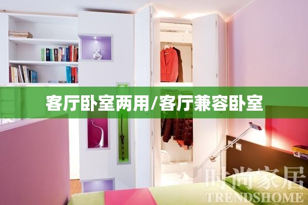 客厅卧室两用/客厅兼容卧室 客厅卧室两用/客厅兼容卧室