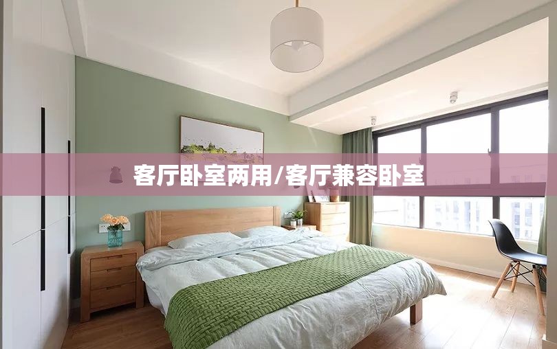 客厅卧室两用/客厅兼容卧室 客厅卧室两用/客厅兼容卧室