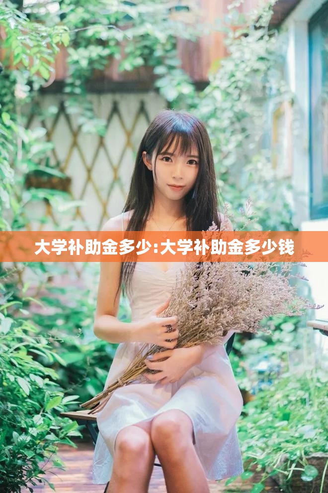 大学补助金多少:大学补助金多少钱