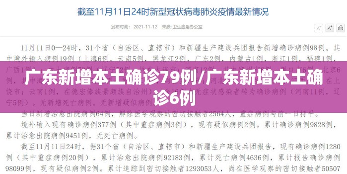 广东新增本土确诊79例/广东新增本土确诊6例 广东新增本土确诊79例/广东新增本土确诊6例