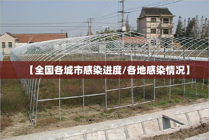 【全国各城市感染进度/各地感染情况】 【全国各城市感染进度/各地感染情况】