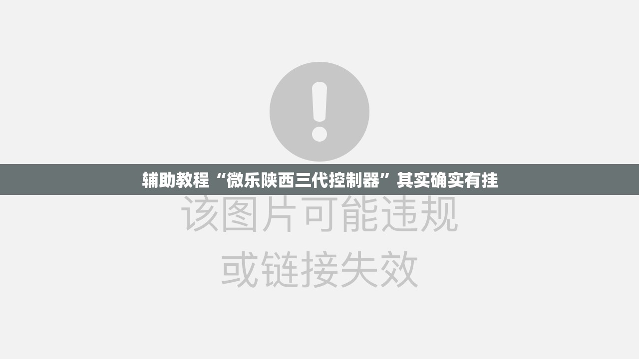 辅助教程“微乐陕西三代控制器”其实确实有挂