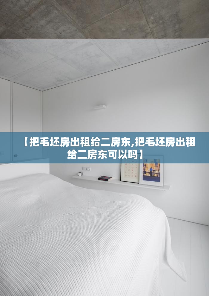 【把毛坯房出租给二房东,把毛坯房出租给二房东可以吗】 【把毛坯房出租给二房东,把毛坯房出租给二房东可以吗】