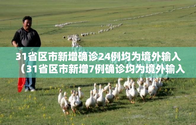 31省区市新增确诊24例均为境外输入（31省区市新增7例确诊均为境外输入）