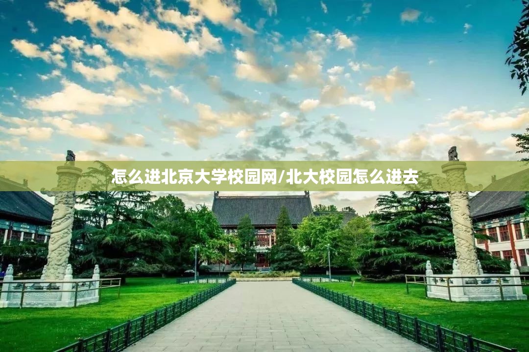 怎么进北京大学校园网/北大校园怎么进去