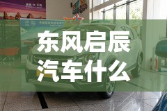 东风启辰汽车什么价位/东风启辰的价格是多少