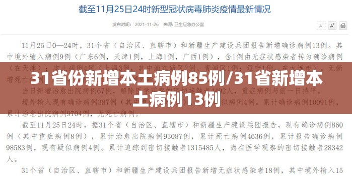 31省份新增本土病例85例/31省新增本土病例13例