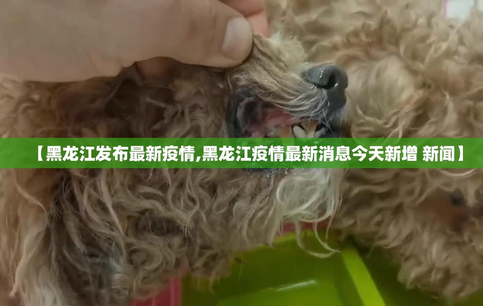 【黑龙江发布最新疫情,黑龙江疫情最新消息今天新增 新闻】 【黑龙江发布最新疫情,黑龙江疫情最新消息今天新增 新闻】