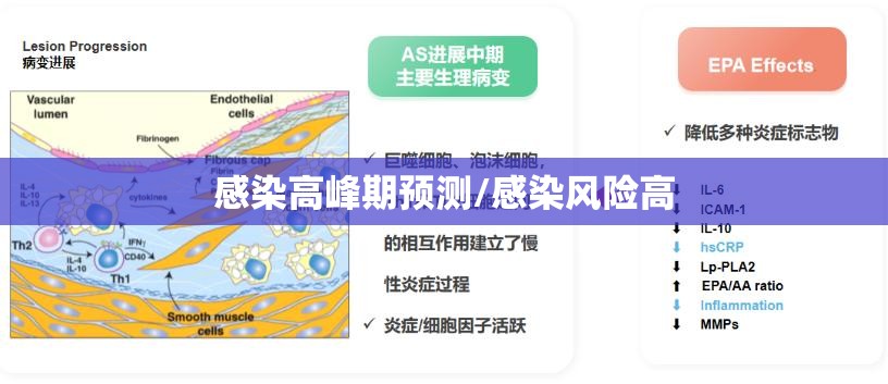 感染高峰期预测/感染风险高 感染高峰期预测/感染风险高