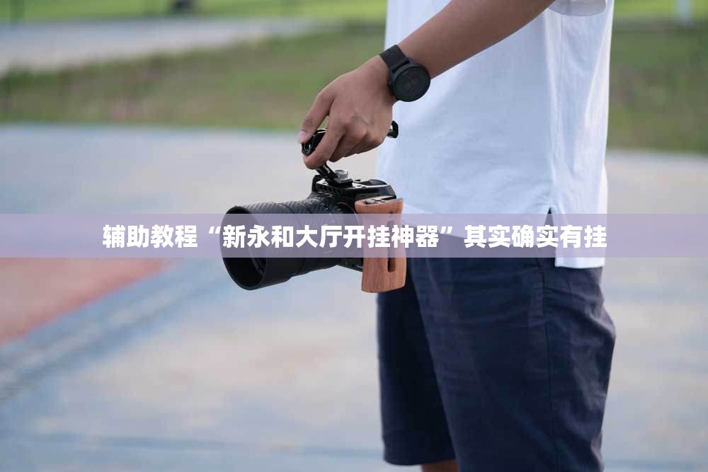 辅助教程“新永和大厅开挂神器”其实确实有挂