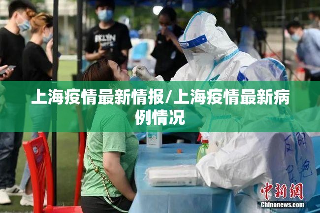 上海疫情最新情报/上海疫情最新病例情况