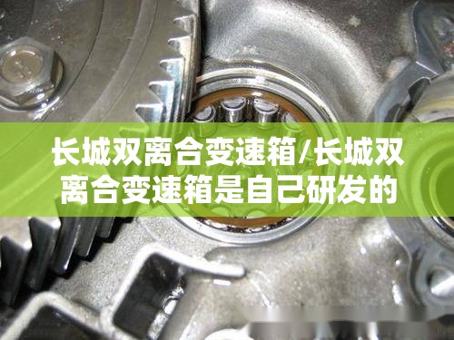 长城双离合变速箱/长城双离合变速箱是自己研发的吗 长城双离合变速箱/长城双离合变速箱是自己研发的吗