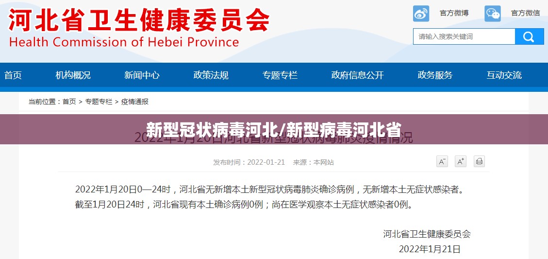 新型冠状病毒河北/新型病毒河北省