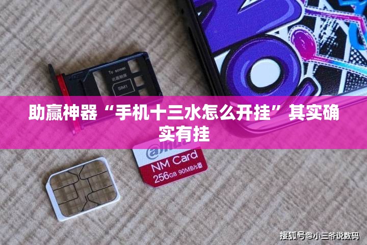 助赢神器“手机十三水怎么开挂”其实确实有挂