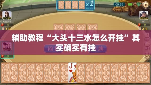 辅助教程“大头十三水怎么开挂	”其实确实有挂