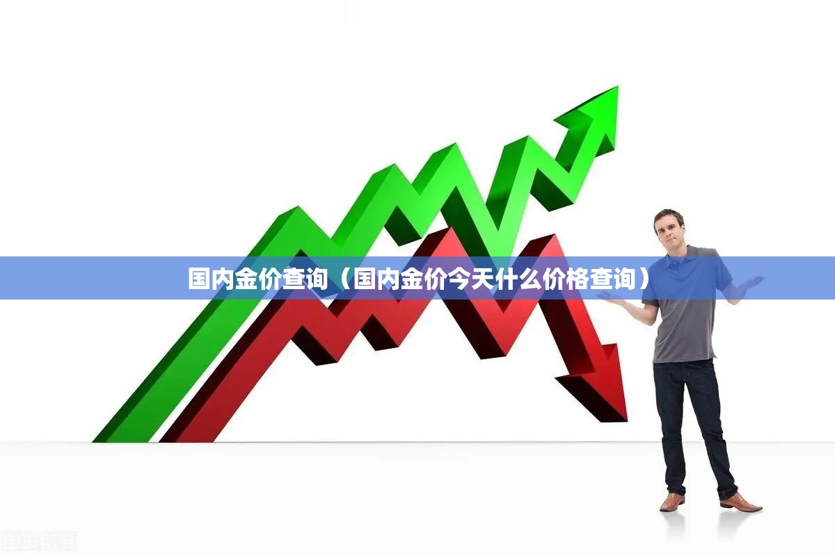 国内金价查询（国内金价今天什么价格查询）