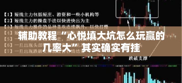 辅助教程“心悦填大坑怎么玩赢的几率大”其实确实有挂