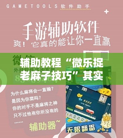 辅助教程“微乐捉老麻子技巧”其实确实有挂