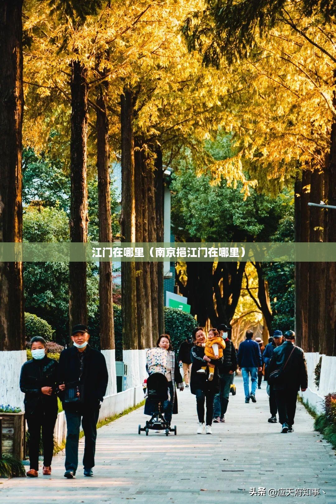 江门在哪里(南京挹江门在哪里) 江门在哪里(南京挹江门在哪里)