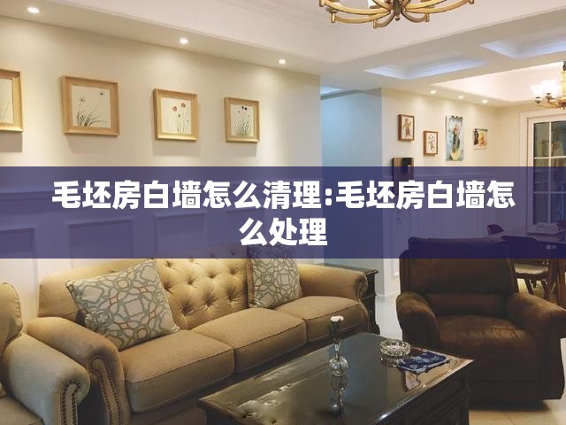 毛坯房白墙怎么清理:毛坯房白墙怎么处理 毛坯房白墙怎么清理:毛坯房白墙怎么处理