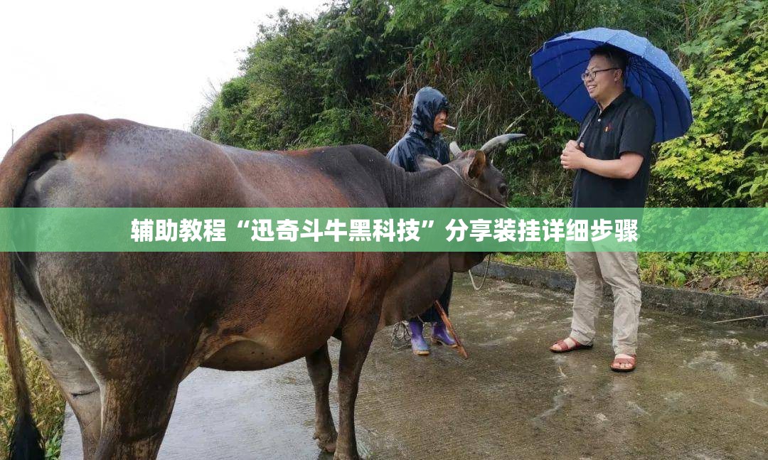 辅助教程“迅奇斗牛黑科技	”分享装挂详细步骤