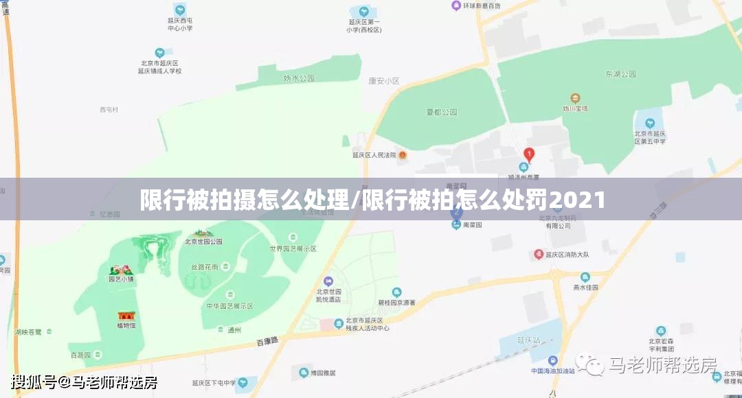 限行被拍摄怎么处理/限行被拍怎么处罚2021 限行被拍摄怎么处理/限行被拍怎么处罚2021