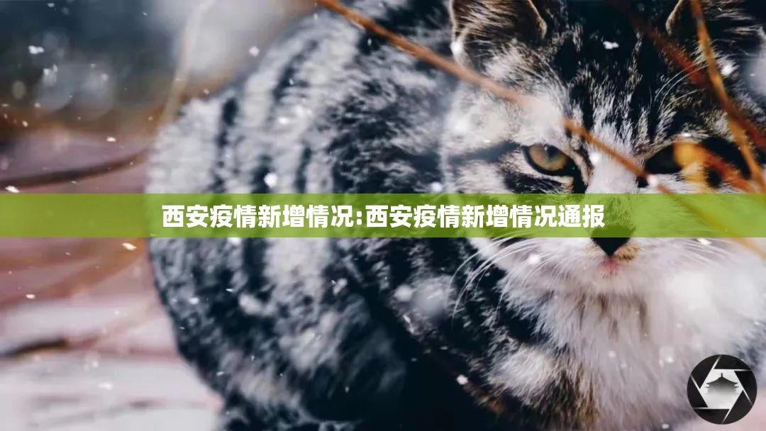 西安疫情新增情况:西安疫情新增情况通报
