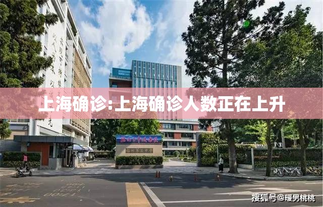 上海确诊:上海确诊人数正在上升