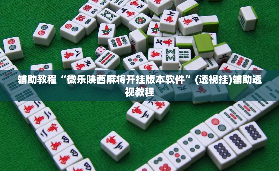 辅助教程“微乐陕西麻将开挂版本软件”(透视挂)辅助透视教程