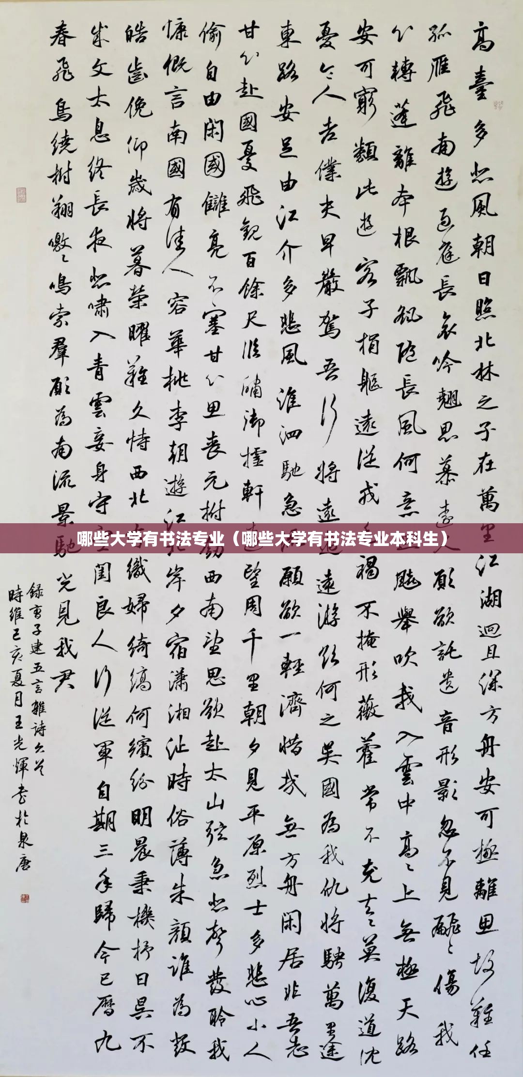 哪些大学有书法专业(哪些大学有书法专业本科生) 哪些大学有书法专业(哪些大学有书法专业本科生)