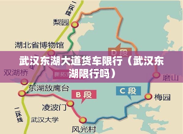 武汉东湖大道货车限行（武汉东湖限行吗）