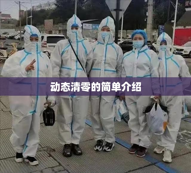 动态清零的简单介绍 动态清零的简单介绍