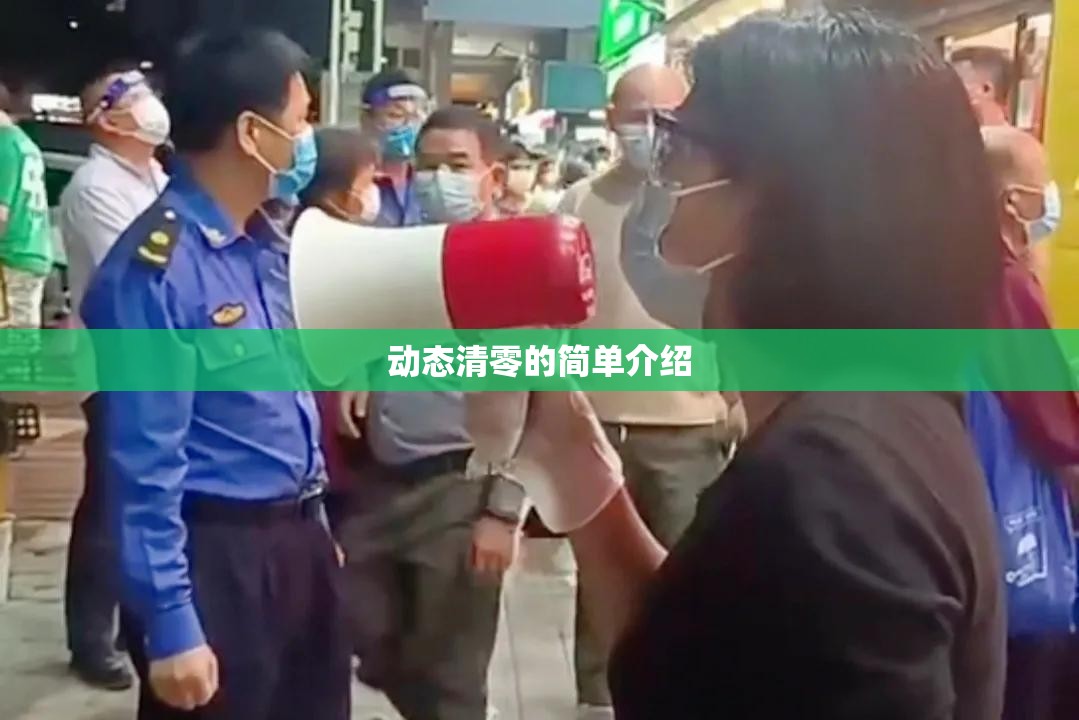 动态清零的简单介绍 动态清零的简单介绍