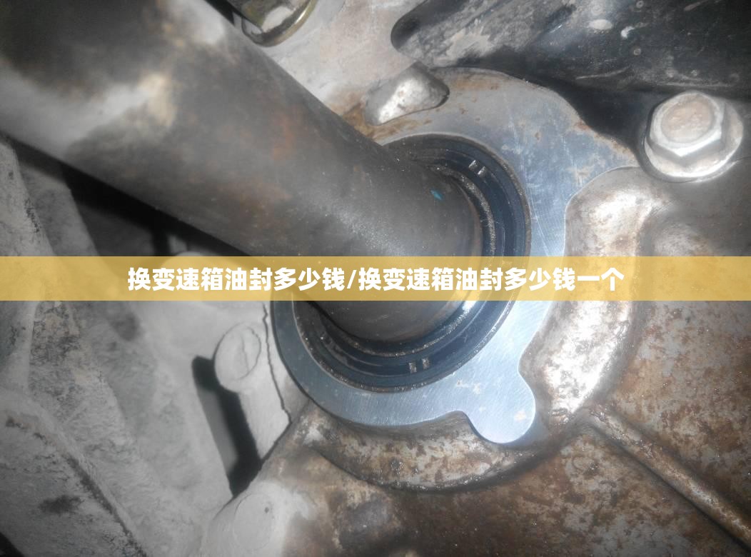 换变速箱油封多少钱/换变速箱油封多少钱一个 换变速箱油封多少钱/换变速箱油封多少钱一个