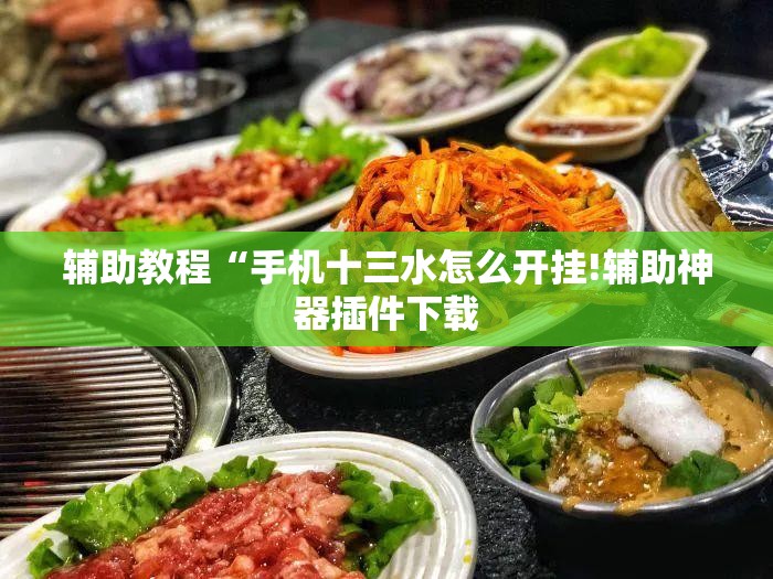 辅助教程“手机十三水怎么开挂!辅助神器插件下载