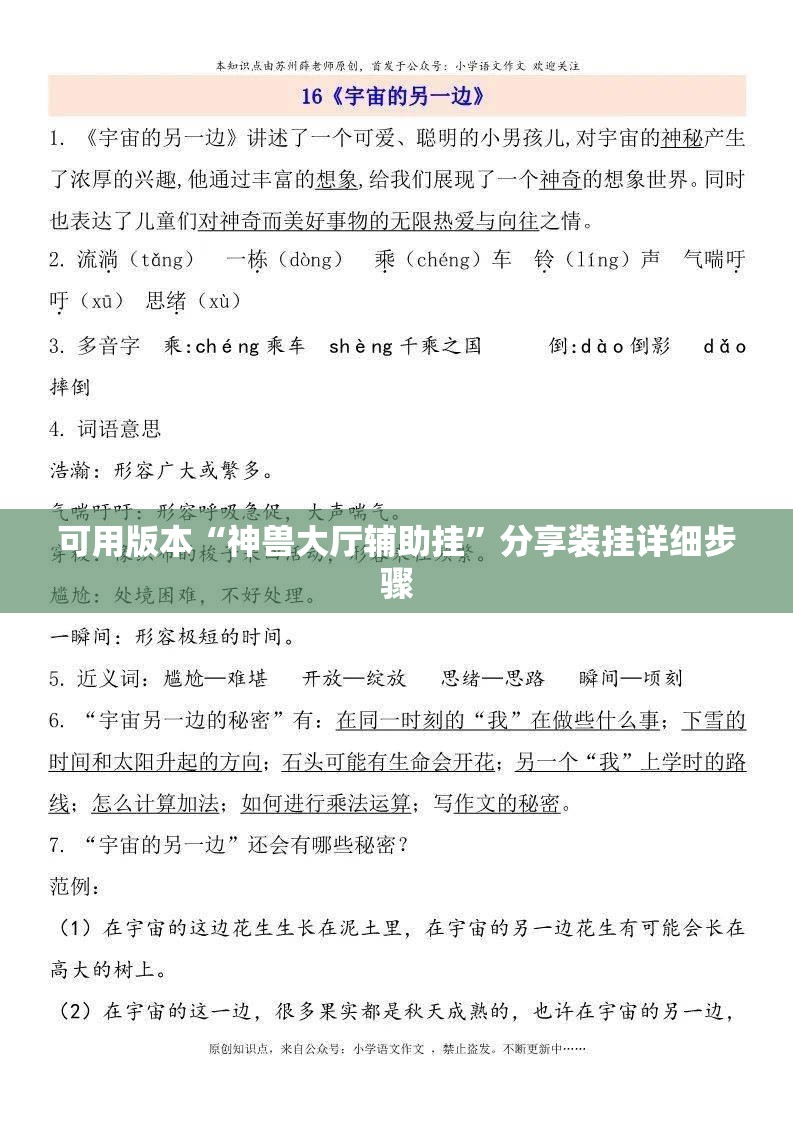 可用版本“神兽大厅辅助挂”分享装挂详细步骤