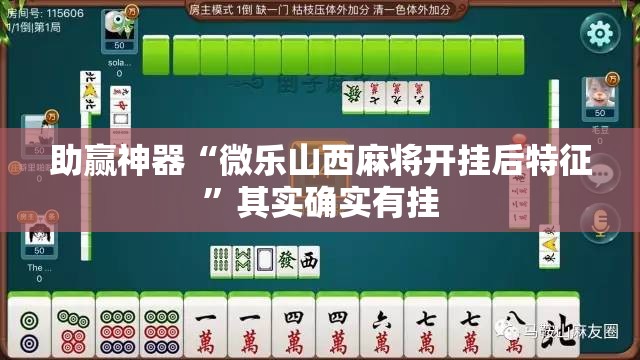 助赢神器“微乐山西麻将开挂后特征”其实确实有挂