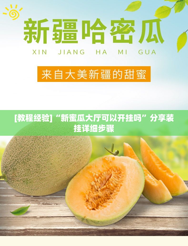 [教程经验]“新蜜瓜大厅可以开挂吗”分享装挂详细步骤