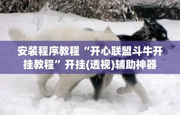 安装程序教程“开心联盟斗牛开挂教程”开挂(透视)辅助神器
