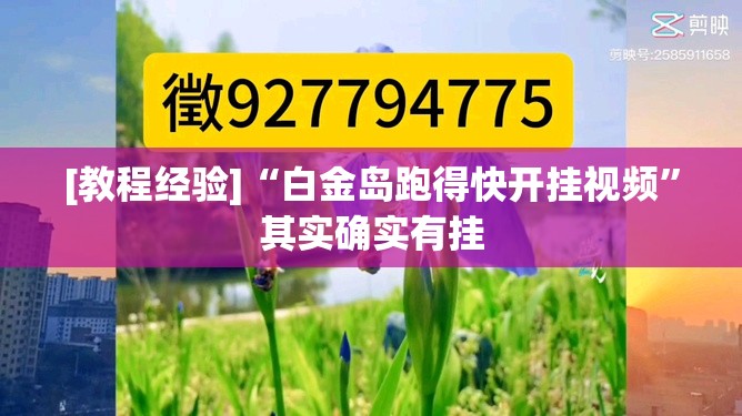 [教程经验]“白金岛跑得快开挂视频”其实确实有挂
