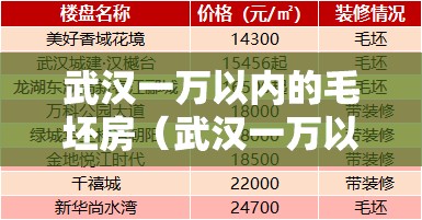 武汉一万以内的毛坯房（武汉一万以内的毛坯房有哪些）