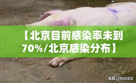 【北京目前感染率未到70%/北京感染分布】