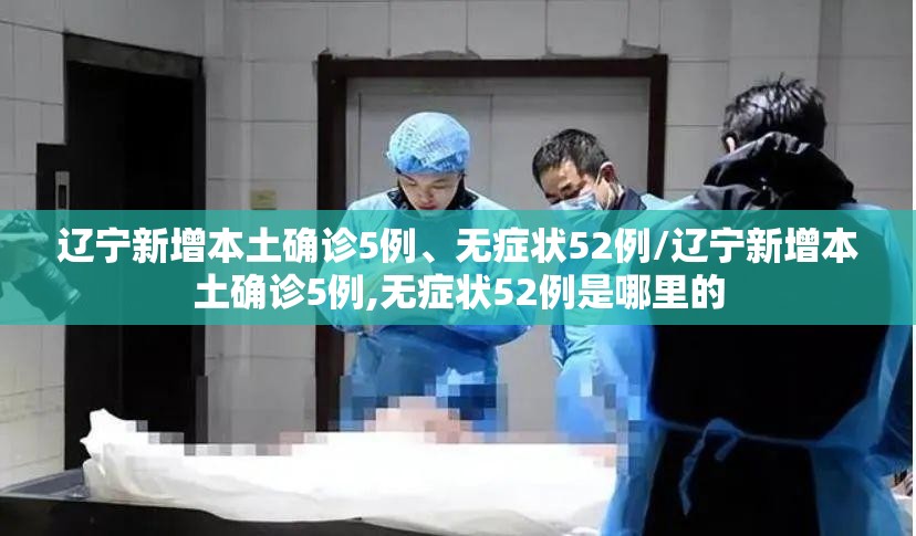 辽宁新增本土确诊5例	、无症状52例/辽宁新增本土确诊5例,无症状52例是哪里的