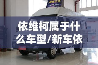 依维柯属于什么车型/新车依维柯多少钱 依维柯属于什么车型/新车依维柯多少钱