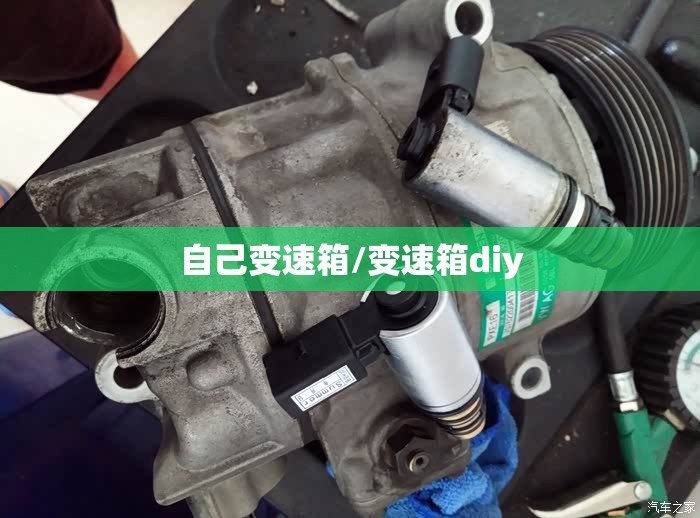 自己变速箱/变速箱diy 自己变速箱/变速箱diy