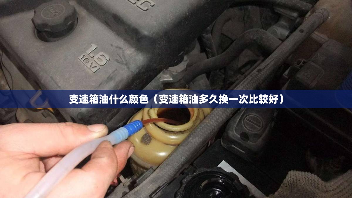 变速箱油什么颜色(变速箱油多久换一次比较好) 变速箱油什么颜色(变速箱油多久换一次比较好)