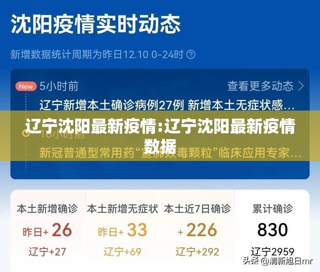 辽宁沈阳最新疫情:辽宁沈阳最新疫情数据