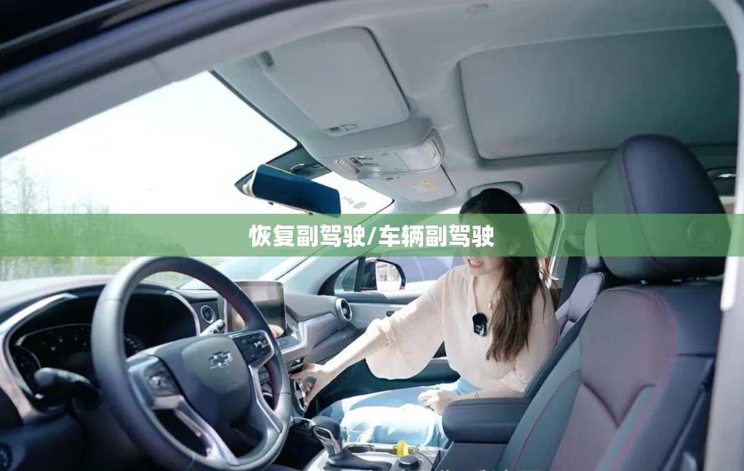 恢复副驾驶/车辆副驾驶