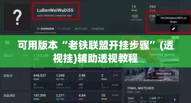 可用版本“老铁联盟开挂步骤”(透视挂)辅助透视教程
